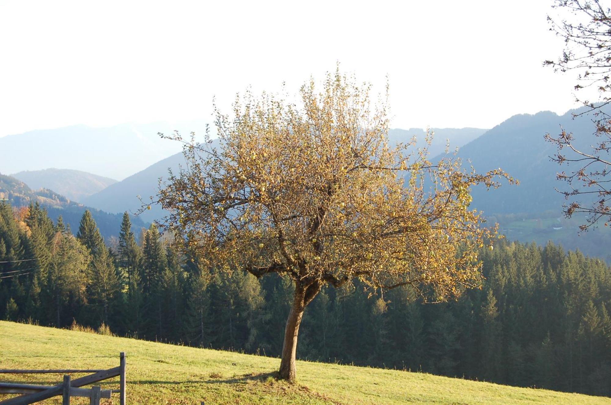 Walcherhof Arriach Buitenkant foto