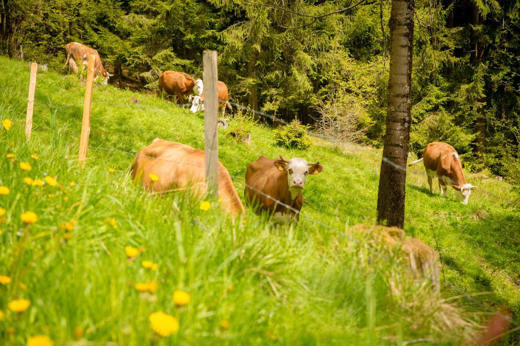 Walcherhof Arriach Buitenkant foto